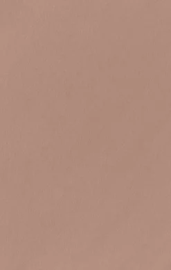 Show Me Your Mumu Bridesmaid Fabric Swatch