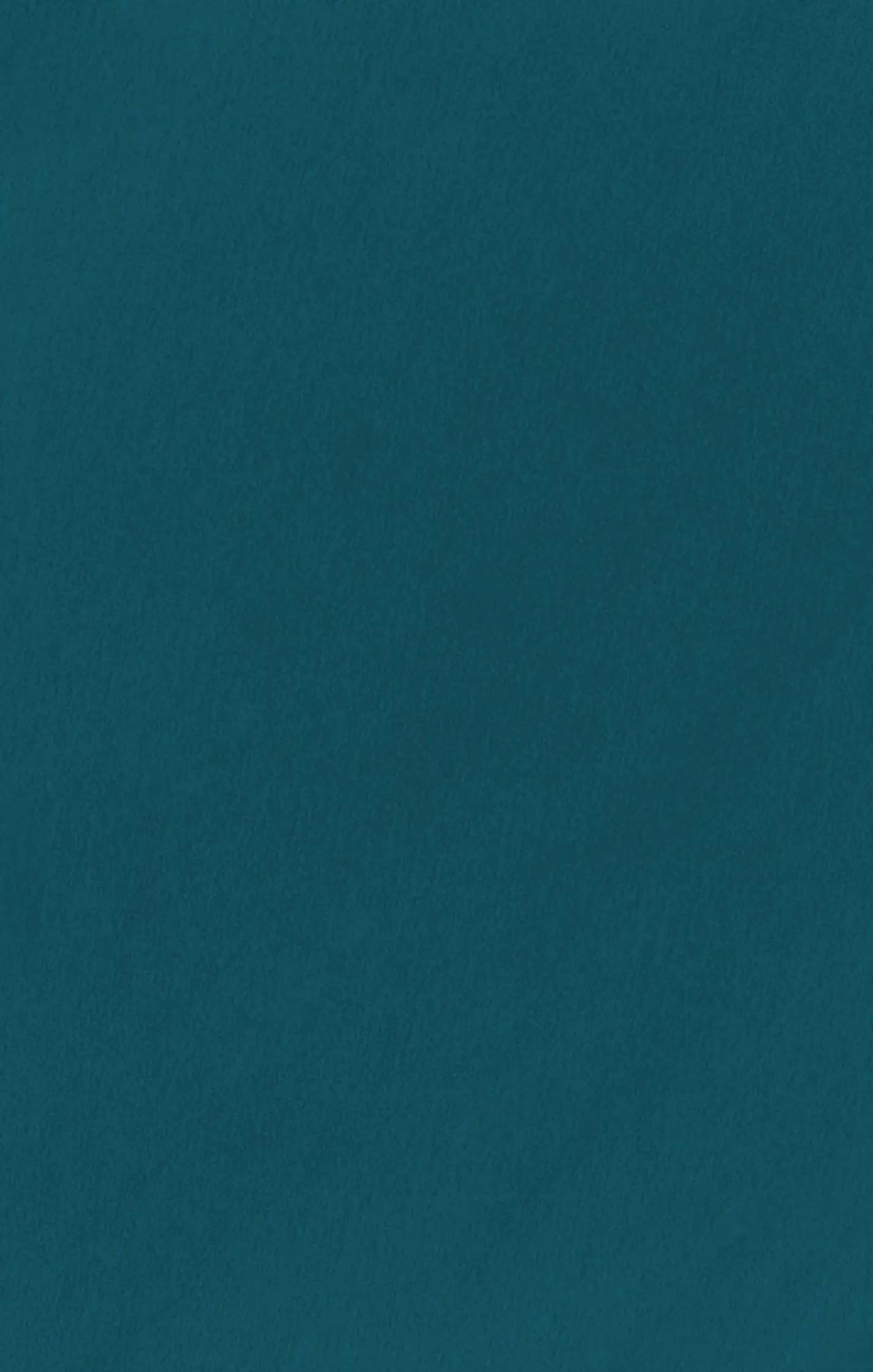 Show Me Your Mumu Bridesmaid Fabric Swatch