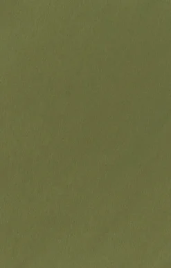 Show Me Your Mumu Bridesmaid Fabric Swatch