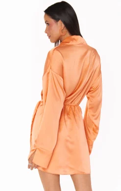 Show Me Your Mumu Clara Collared Mini Dress