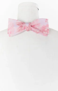 Show Me Your Mumu Josh Bow Tie