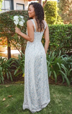 Show Me Your Mumu Nina Maxi Dress