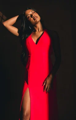 Show Me Your Mumu Rachel Maxi Dress