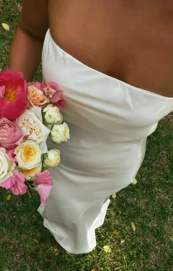 Show Me Your Mumu Taylor Tube Maxi Dress